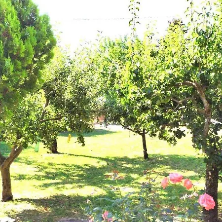 Agriturismo Bio La Tana Del Lele Farma *