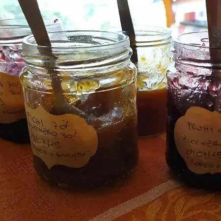 Bauernhof Agriturismo Bio La Tana Del Lele *