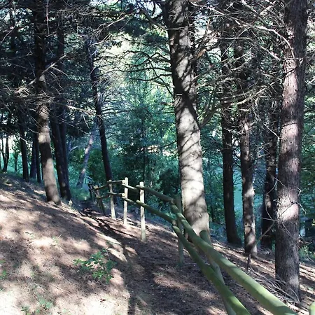 Agriturismo Bio La Tana Del Lele Farma Serra San Quirico