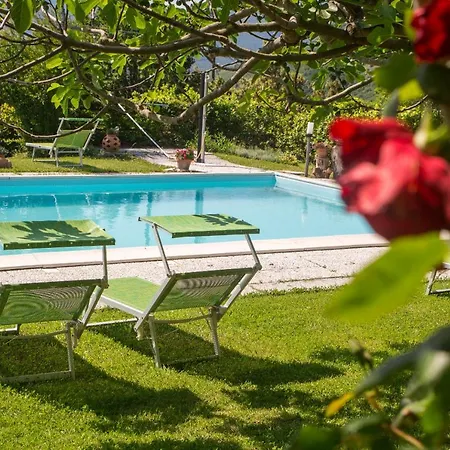 Agriturismo Bio La Tana Del Lele * Serra San Quirico